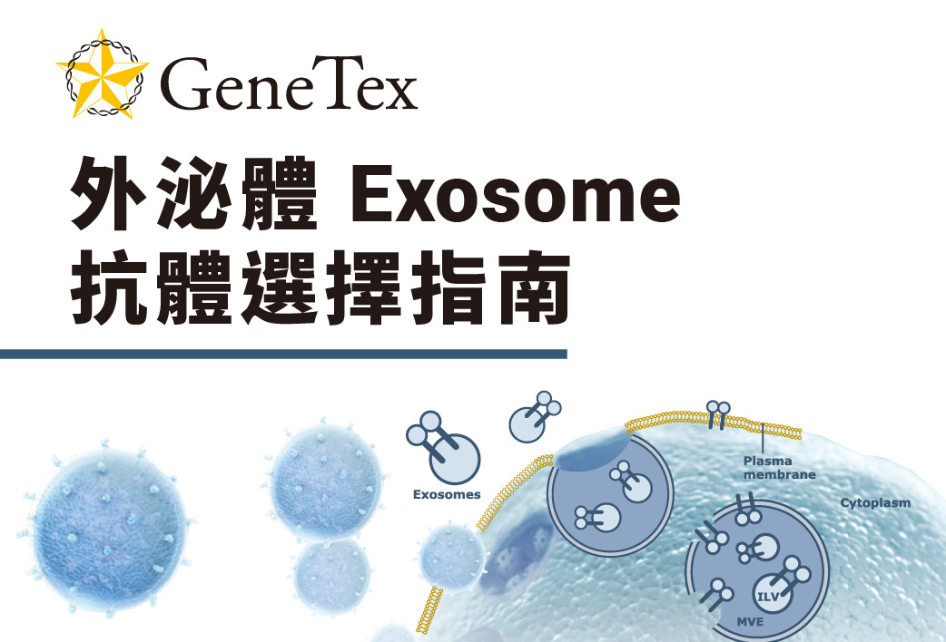 電子報412期 : GeneTex | 外泌體 Exosome 抗體選擇指南