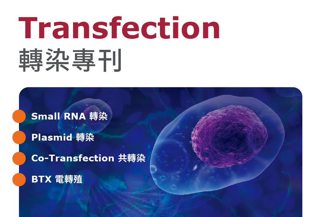 電子報372期 : Transfection 轉染專刊 - 專業技術及研究經驗，為您提供高效細胞轉染方法